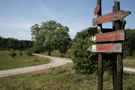 Bükki kéktúra alvással a Bánkúti Turistaházban