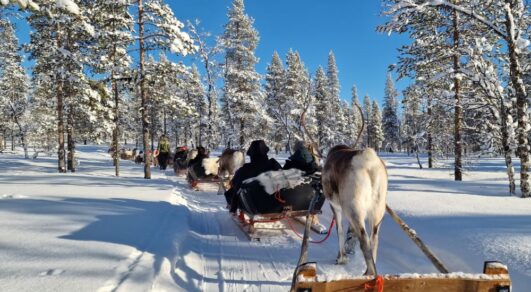 Finn Lappföld télen