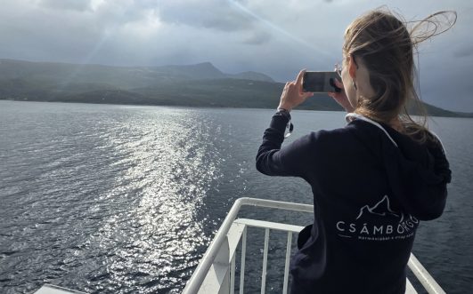Az északi sarkkörön túl finn, svéd és norvég tájakon (+ Hurtigruten hajózás)